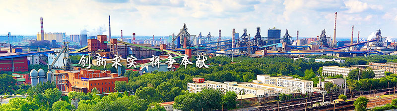 鞍山鋼鐵集團(tuán)有限公司