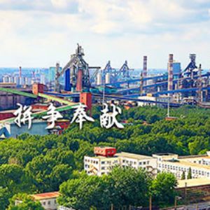 鞍山鋼鐵集團(tuán)有限公司