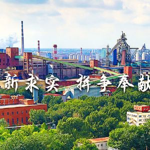 鞍山鋼鐵集團(tuán)有限公司